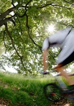 Mountain bike Stock-Fotos