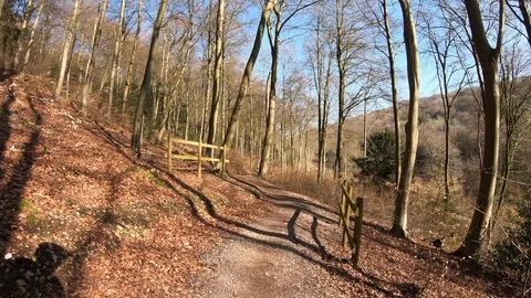 Mountain bike ride on single track with cool shadow from sun - Part 2 Stock Footage 124899036
