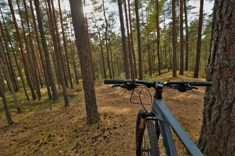 Mountain bike ride through the forest Stock Photos