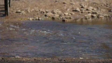 Mountain bike splashes through stream of water Stock Footage 74610151