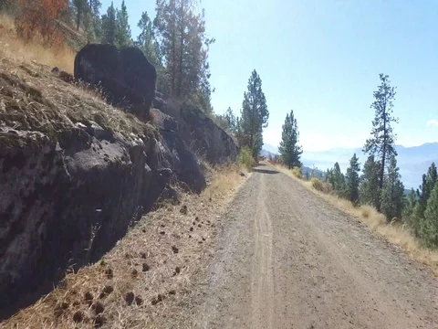 Mountain Bike Trail Stock Footage 80445517