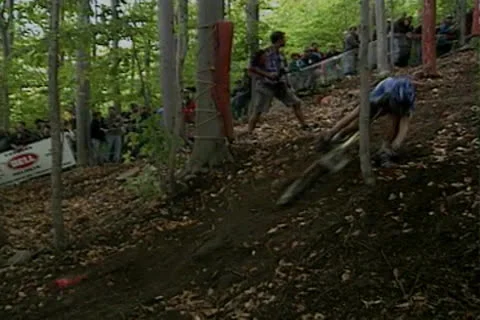 Mountain Bike tree collision Vídeo Stock 27129799