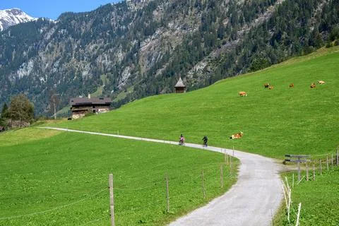 Mountain biker on alpine path Stock Photos