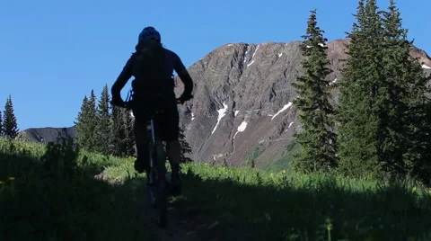 Mountain biker climbing up trail Stock-Footage 50962938