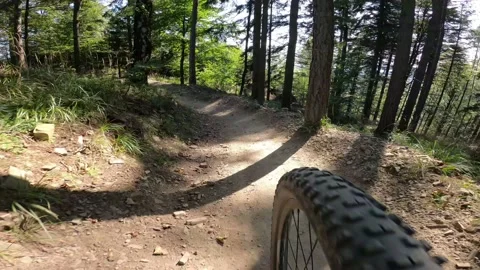 Mountain biker cycling on flow enduro single track trail in green forest. Stock Footage 139769880