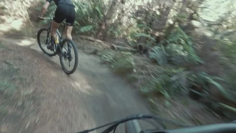 Mountain biker descends a forest trail. Whakawerawera Forest, Rotorua, New Video stock 302950587