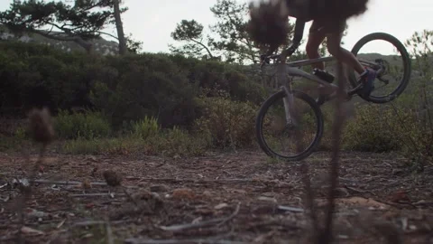 Mountain Biker doing a Stoppie in a Forest in Slow Motion Stock Footage 260260413