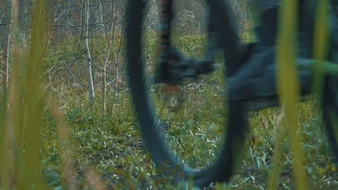Mountain Biker downhill On Forest Trail kicking up dirt Stock Footage 70946576