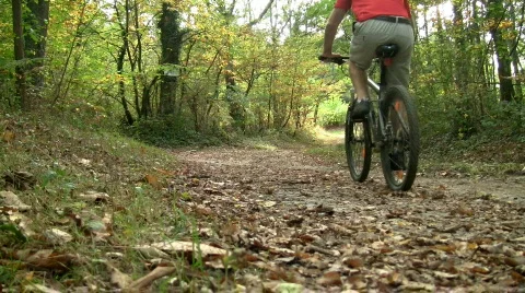 Mountain biker Stock Footage 532899