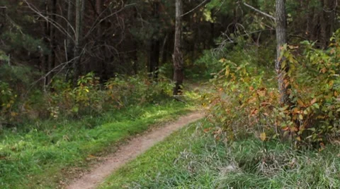 Mountain Biker 스톡 동영상 7762963