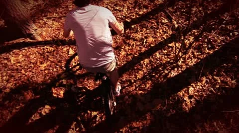 Mountain Biker Video stock 10911566