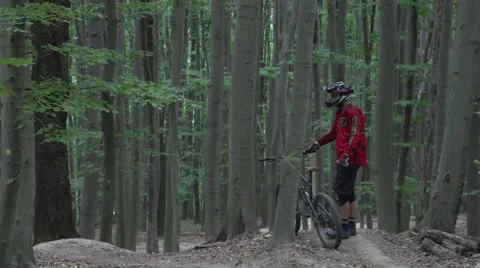 Mountain biker in a forest Stock Footage 53870673