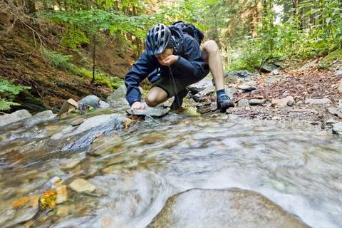 Mountain biker in forest Stock Photos