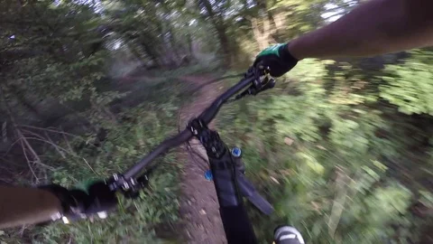 Mountain biker going downhill on forest trail Stock Footage 82339124