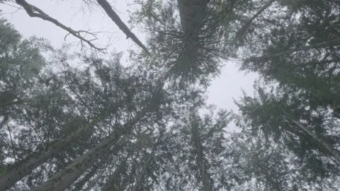 Mountain Biker jumps over camera Stock Footage 135273165