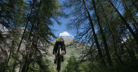 A mountain biker jumps through a mountain forest. Vídeo Stock 78035336