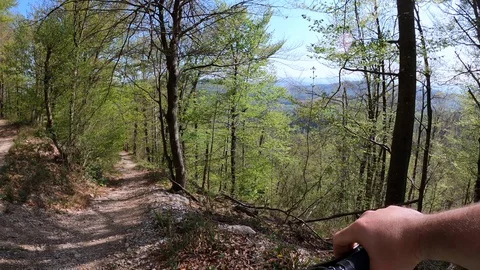 Mountain biker looking on a forest trail and starting downhill Stock Footage 129423079