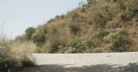 Mountain biker man at full speed on a dirt road in nature Stock Footage 136215914