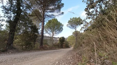 Mountain biker man through a forest Stock Footage 125621200