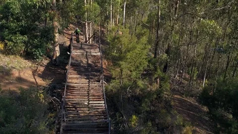 Mountain biker in mixed forest rides over an arched bridge on trail Stock Footage 330861985