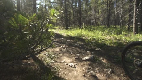 Mountain Biker On Mountain Trail In Slow Motion 스톡 동영상 105886256