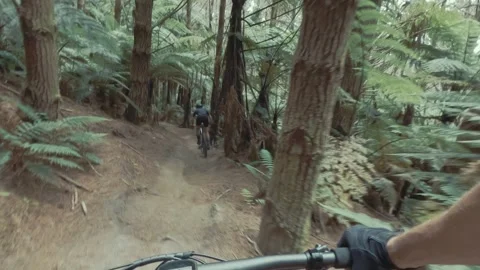Mountain biker navigates a forest trail. Whakawerawera Forest, Rotorua, New Stock-Footage 302950916