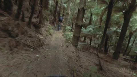 Mountain biker navigates a forest trail. Whakawerawera Forest, Rotorua, New Video stock 302950920