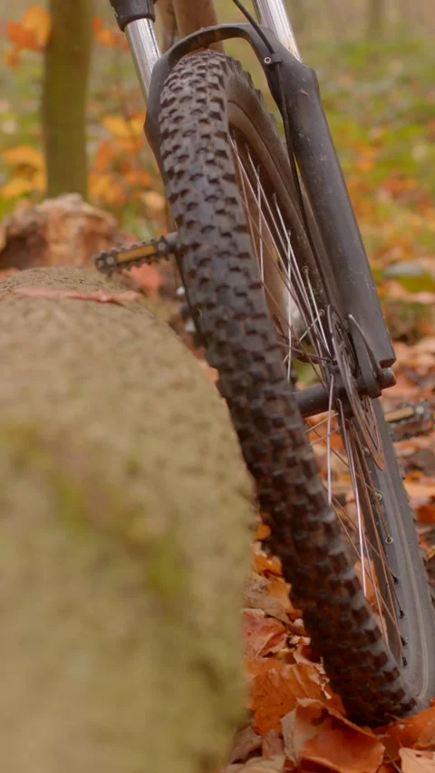 Mountain biker navigates muddy path amid vibrant fall foliage and damp soil Stock Footage 324592504