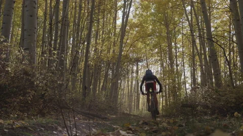 Mountain Biker Passes Camera in Yellow Aspen Forest Stock Footage 140670996