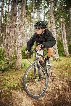 Mountain biker on pathway in forest Stock Photos