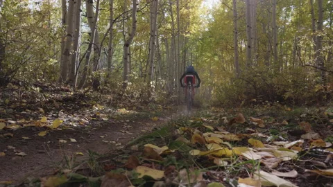 Mountain Biker Pedals Down Aspen Covered Trail in Autumn Stock Footage 140670982