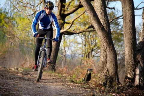 Mountain biker Stock Photos