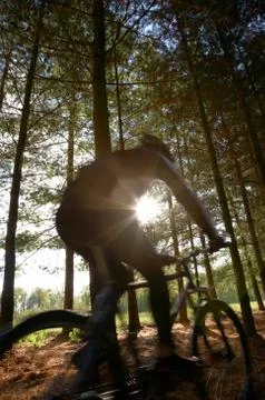 Mountain biker Foto stock