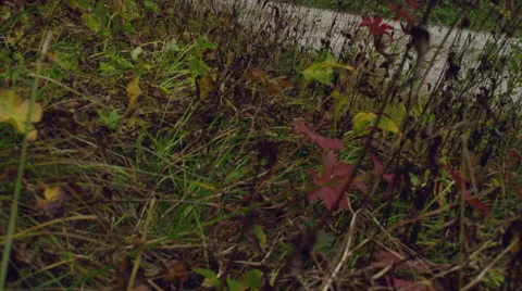 Mountain biker pushing hard on a mountain track. Stock Footage 63021289