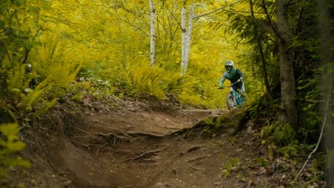 Mountain Biker Races Down trail in Canadian Pacific Forest Vidéo 89925149