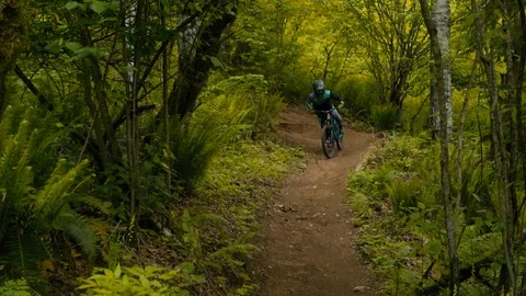 Mountain Biker Races Down trail in Canadian Pacific Forest Stock Footage 89925164