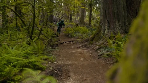 Mountain Biker Races Down trail in Canadian Pacific Forest Stock Footage 89925374