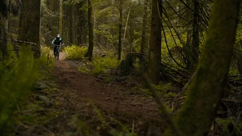 Mountain Biker Races Down trail in Canadian Pacific Forest Stock Footage 89925499
