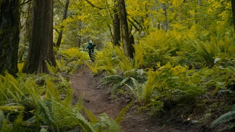 Mountain Biker Races Down trail in Canadian Pacific Forest Stock Footage 89925551