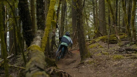 Mountain Biker Races Down trail in Canadian Pacific Forest Stock Footage 89926035