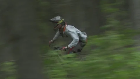 Mountain Biker Racing Through Lush Forest 库存影片 73499771