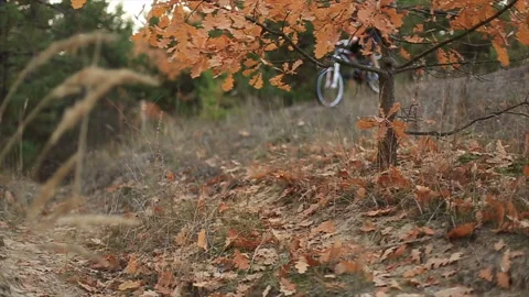 Mountain biker rides Stock-Footage 87389181