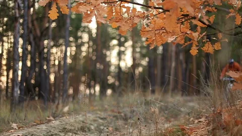 Mountain biker rides Stock Footage 87389386
