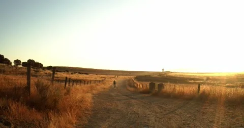 Mountain biker rides hard during a sunrise in nature Stock Footage 138096141