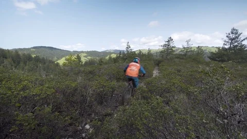 Mountain biker rides quickly past camera Stock Footage 79059209