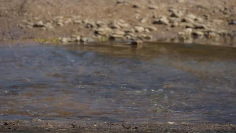 Mountain biker rides though stream splashing water Video stock 74610142