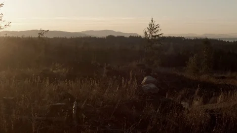 A mountain biker rides through a field of jumps in Bellingham WA Stock-Footage 123077197