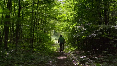 A mountain biker rides through a gap in trees Stock Footage 158900397
