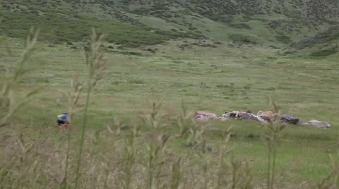 Mountain Biker Rides Through Grassy Field Video stock 50776154
