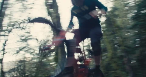 A mountain biker rides through a mossy Pacific Forest Stock Footage 231815733